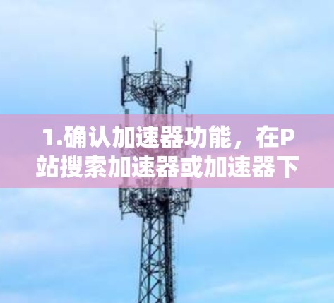 1.确认加速器功能，在P站搜索加速器或加速器下载时，查看是否有相关的下载链接。虽然P站本身没有加速器功能，但其他网站可能提供加速器工具