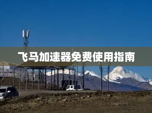 飞马加速器免费使用指南