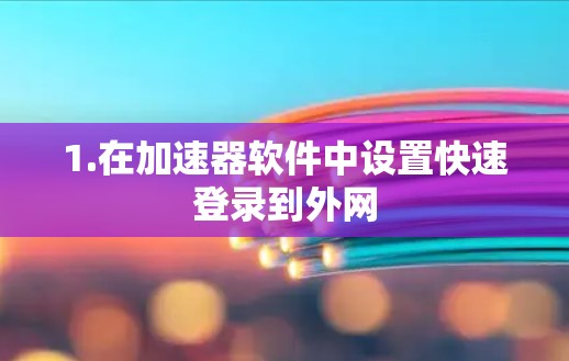1.在加速器软件中设置快速登录到外网