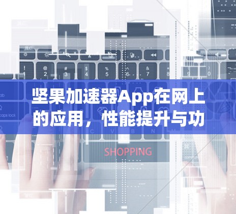 坚果加速器App在网上的应用，性能提升与功能多样性