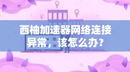 西柚加速器网络连接异常，该怎么办？