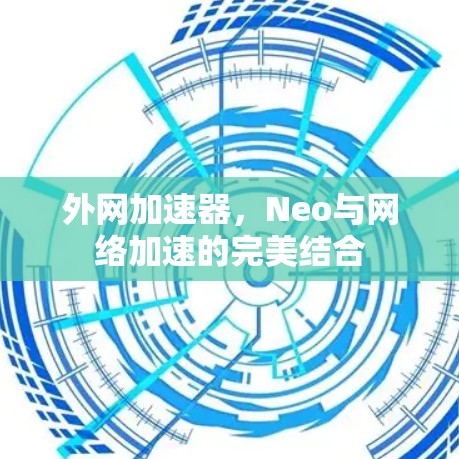 外网加速器，Neo与网络加速的完美结合