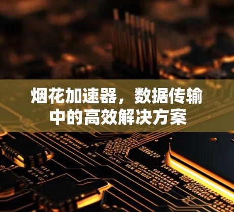 烟花加速器，数据传输中的高效解决方案