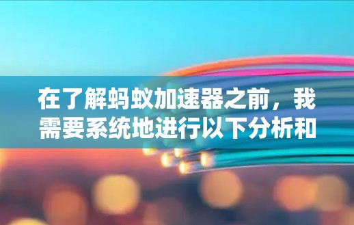 在了解蚂蚁加速器之前，我需要系统地进行以下分析和评估
