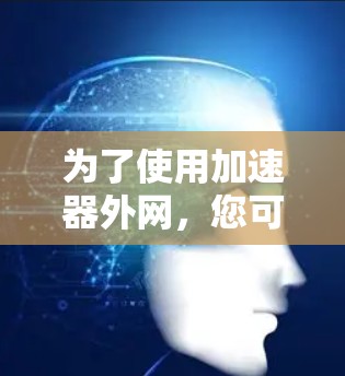 为了使用加速器外网，您可以按照以下步骤进行