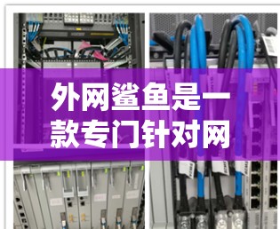外网鲨鱼是一款专门针对网络缓存管理的电脑加速器,旨在优化电脑性能和减少网络延迟。以下是详细的使用指南和信息 外网鲨鱼是一款专门针对网络缓存管理的电脑加速器,旨在优化电脑性能和减少网络延迟。以下是详细的使用指南和信息