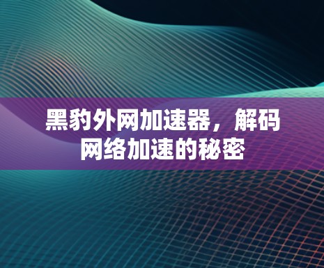 黑豹外网加速器，解码网络加速的秘密