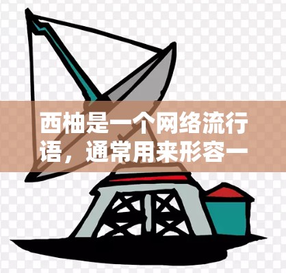 西柚是一个网络流行语，通常用来形容一种网络环境或加速工具。如果你指的是关于外网加速器的工具，我们可以推荐一些常见的加速工具，比如