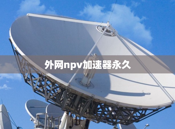 外网npv加速器永久