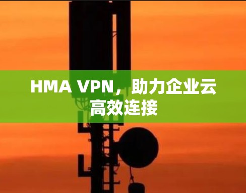 HMA VPN，助力企业云高效连接