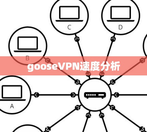 gooseVPN速度分析 gooseVPN速度分析