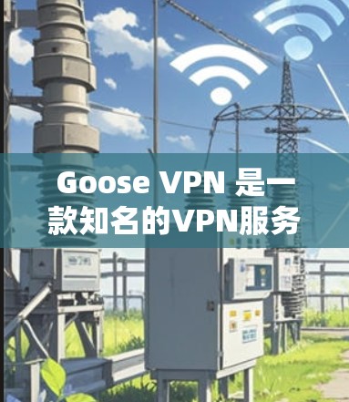 Goose VPN 是一款知名的VPN服务，用于远程访问互联网。测试其速度，可以帮助你了解其在不同网络环境下的表现。以下是一个详细的 Goose VPN 的速度测试指南