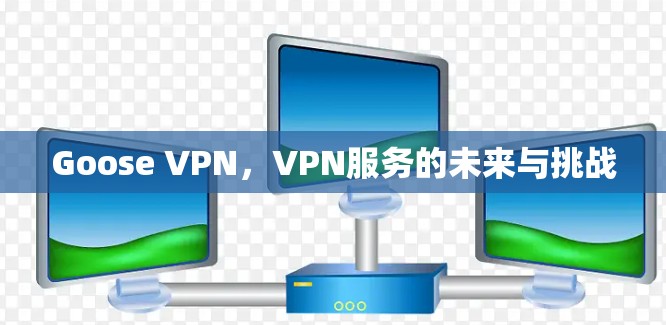 Goose VPN,VPN服务的未来与挑战 Goose VPN,VPN服务的未来与挑战