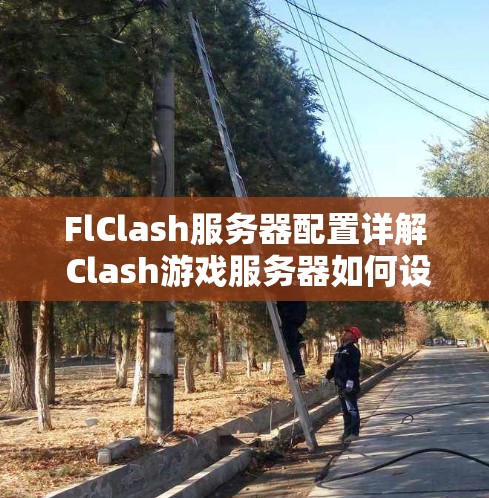 FlClash服务器配置详解 Clash游戏服务器如何设置？