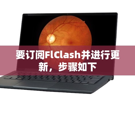 要订阅FlClash并进行更新，步骤如下