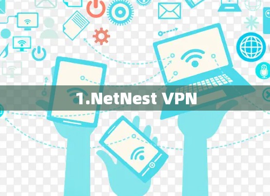 1.NetNest VPN 1.NetNest VPN