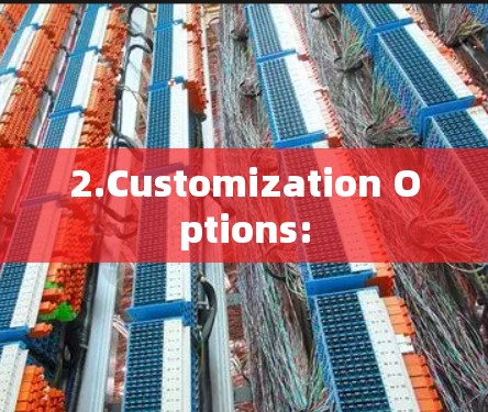 2.Customization Options: 2.Customization Options: