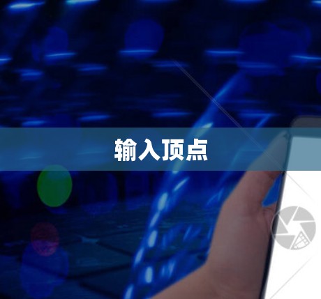 输入顶点