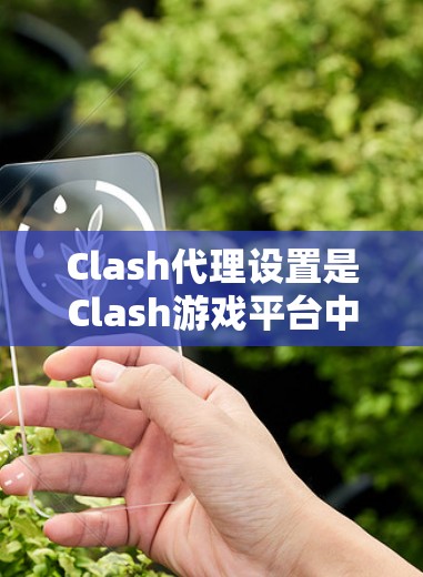 Clash代理设置是Clash游戏平台中一个重要的步骤，确保客户端能够正确访问和使用游戏资源。以下是一个详细的Clash代理设置教程