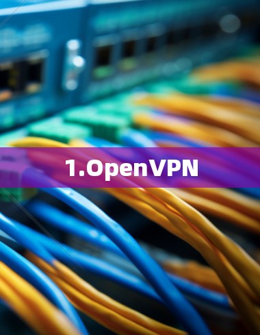 1.OpenVPN