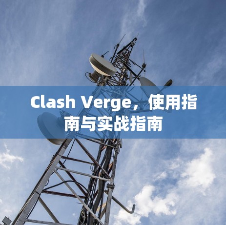 Clash Verge，使用指南与实战指南