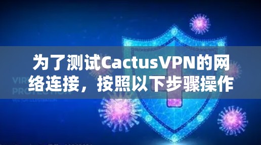 为了测试CactusVPN的网络连接，按照以下步骤操作