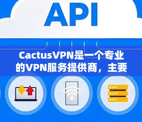 CactusVPN是一个专业的VPN服务提供商，主要面向个人用户和偶尔的远程办公用户。以下是对CactusVPN功能体验的详细分析