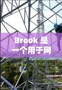 Brook 是一个用于网络分析和可视化工具，支持多种网络数据格式的导入和处理，允许用户绘制网络图、分析流量分布、展示数据图表等。你可以通过互联网下载或安装在本地运行