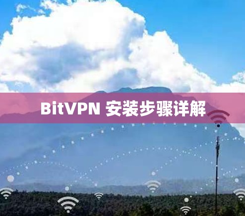 BitVPN 安装步骤详解