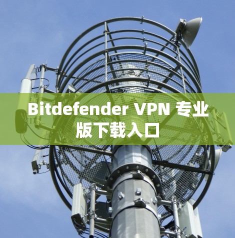 Bitdefender VPN 专业版下载入口