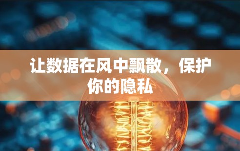 让数据在风中飘散，保护你的隐私