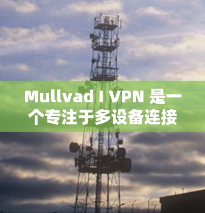 Mullvad I VPN 是一个专注于多设备连接和安全性的 VPN 解决方案，尤其适合移动用户和经常升级设备的用户。以下是对其隐私方面的详细分析