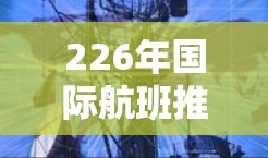 226年国际航班推荐，涵盖不同航空公司的热门航线和选择，帮助您找到最合适的出行方式