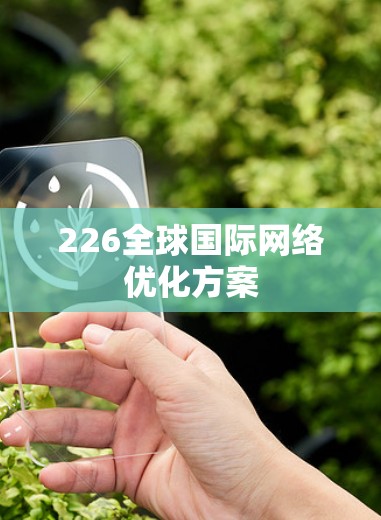 226全球国际网络优化方案
