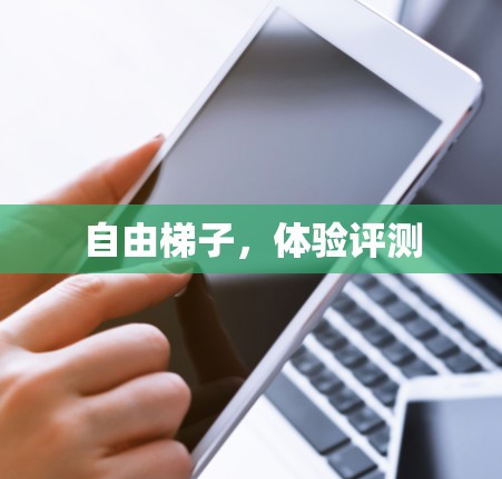 自由<strong>梯子</strong>，体验评测