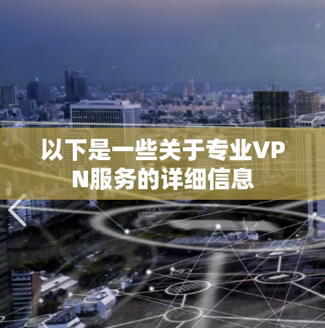 以下是一些关于专业VPN服务的详细信息